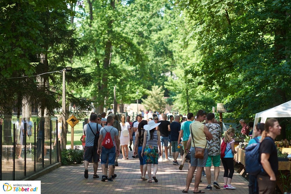 Pünkösdkor az Állatparkban