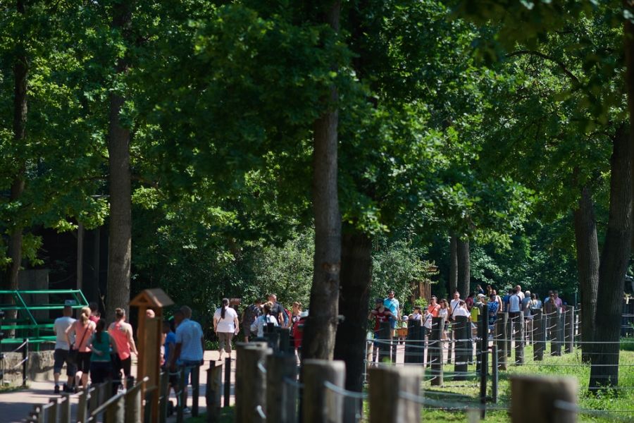 Pünkösdkor az Állatparkban