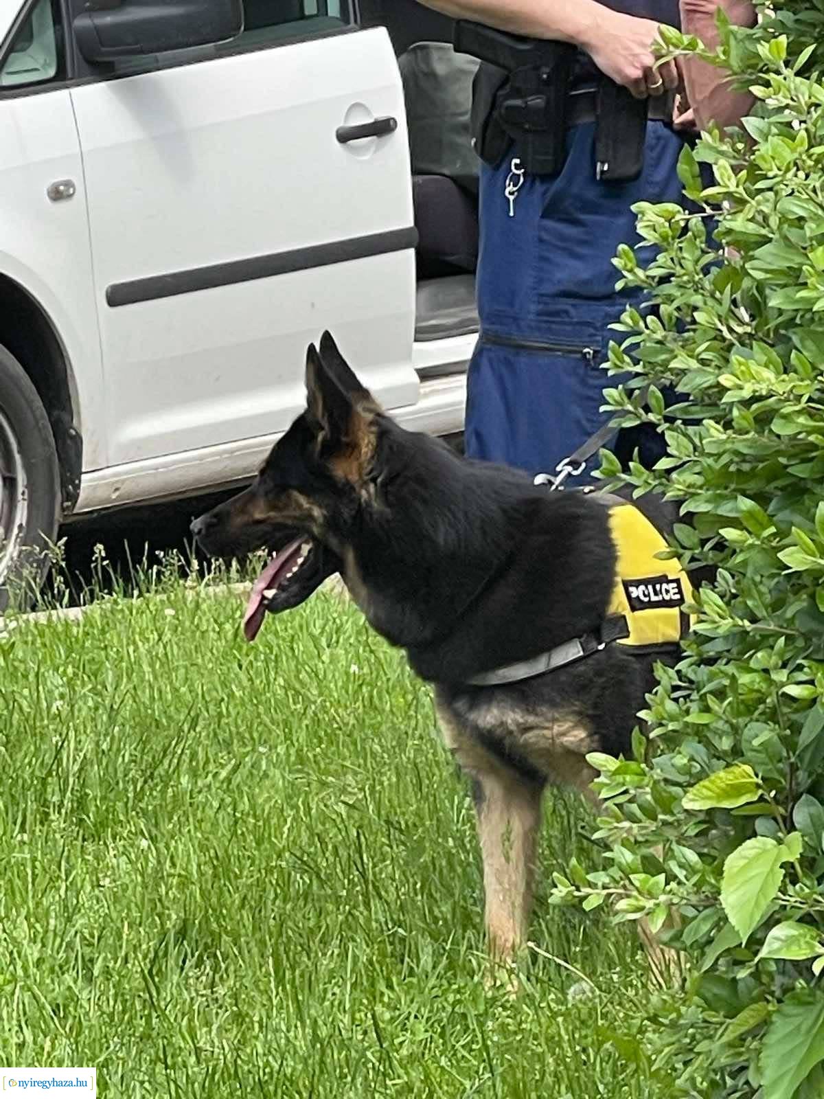 Rablás Nyíregyházán (Forrás: olvasói fotók)