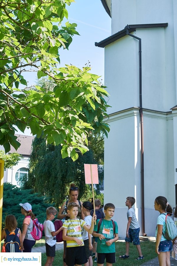 Református nyári tábor 2021