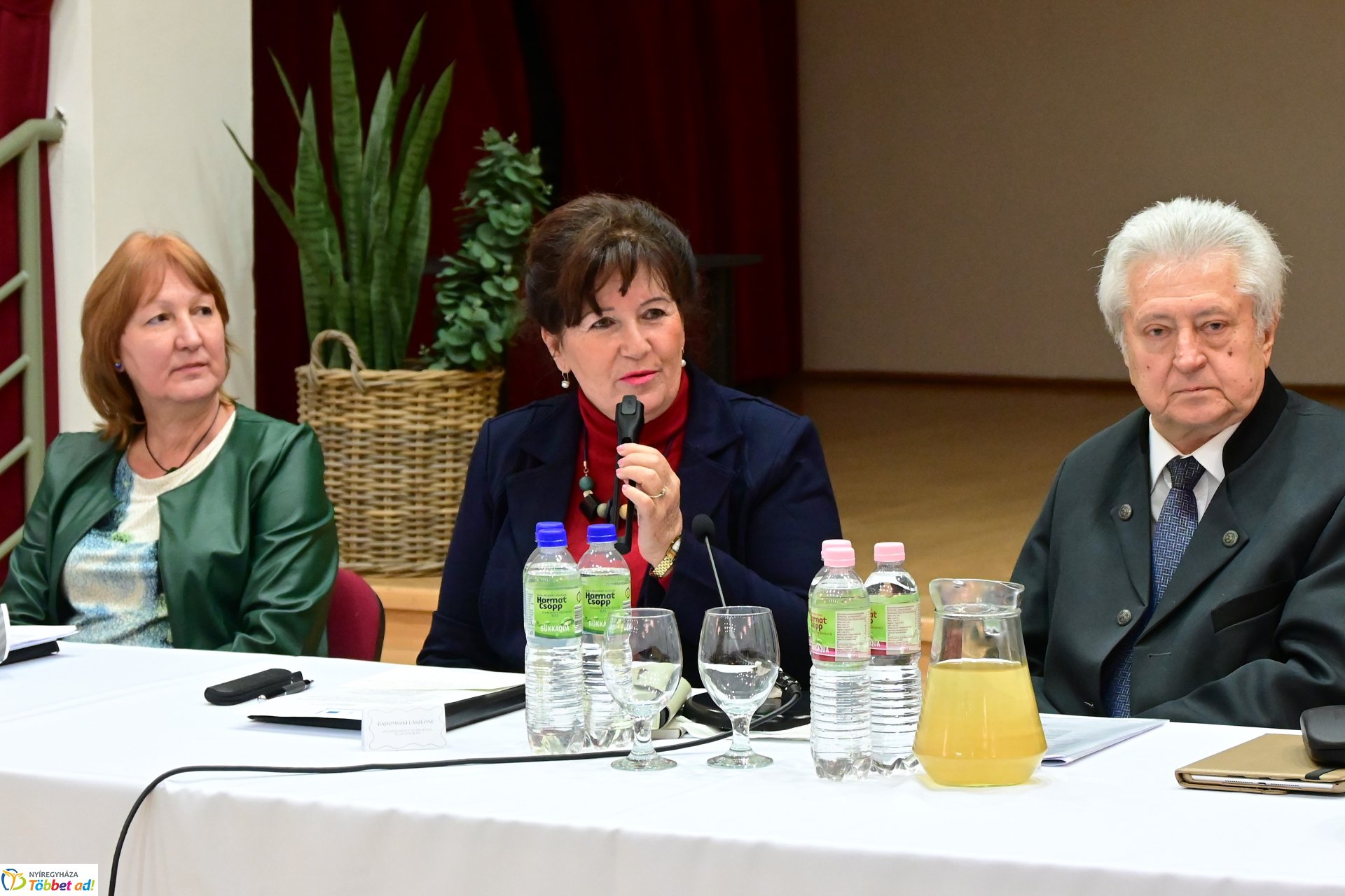 Regionális szakmai nap az Esély Centrumban