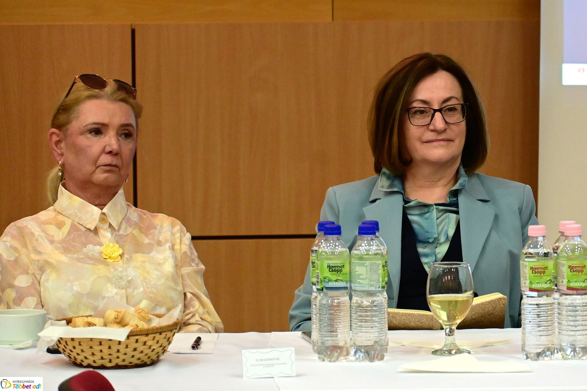 Regionális szakmai nap az Esély Centrumban