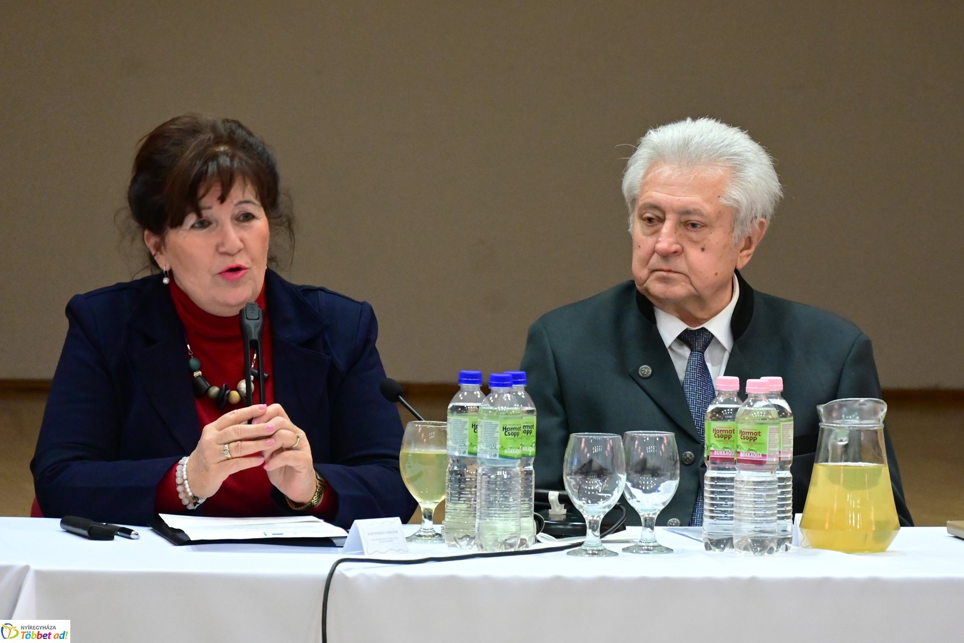 Regionális szakmai nap az Esély Centrumban