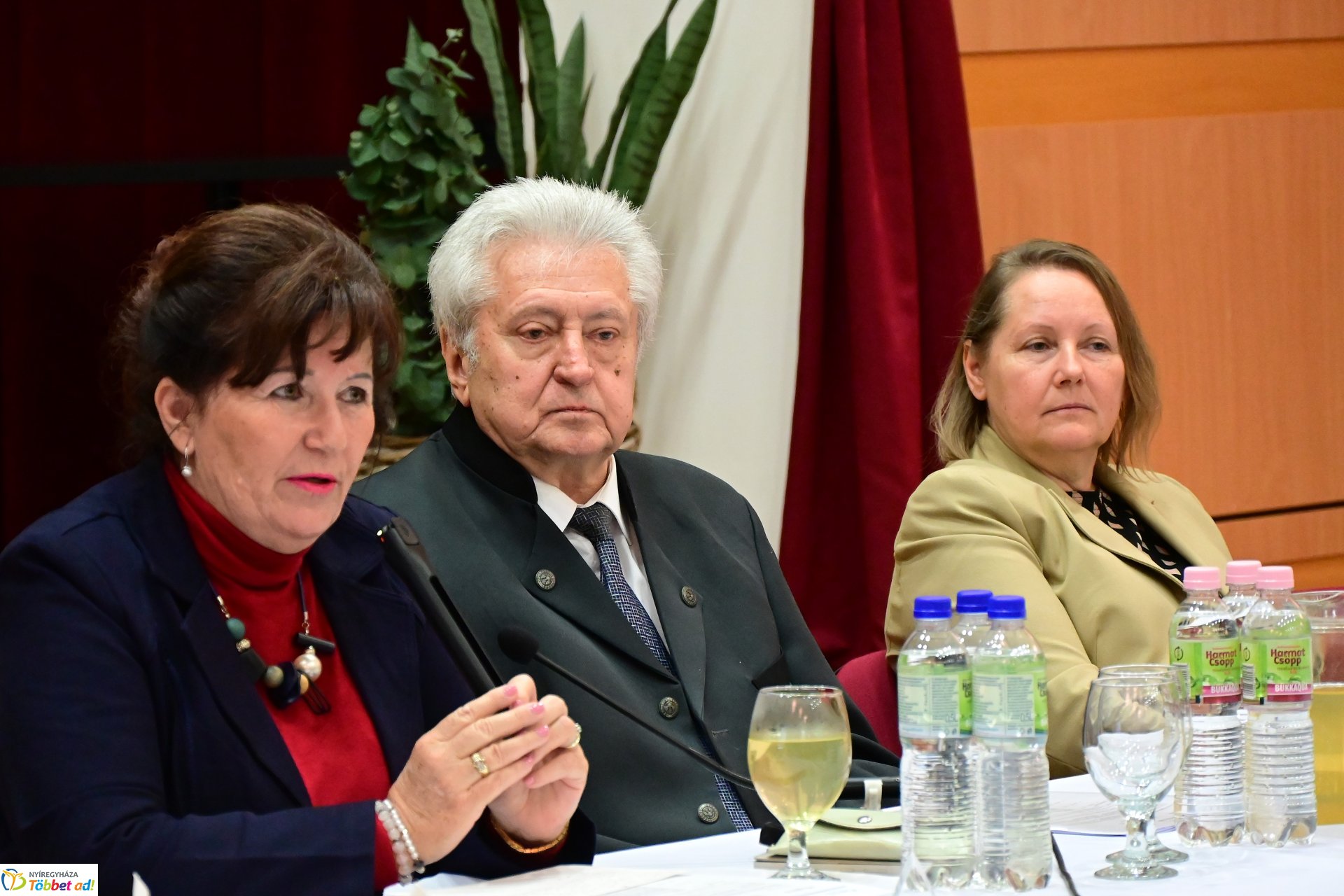 Regionális szakmai nap az Esély Centrumban