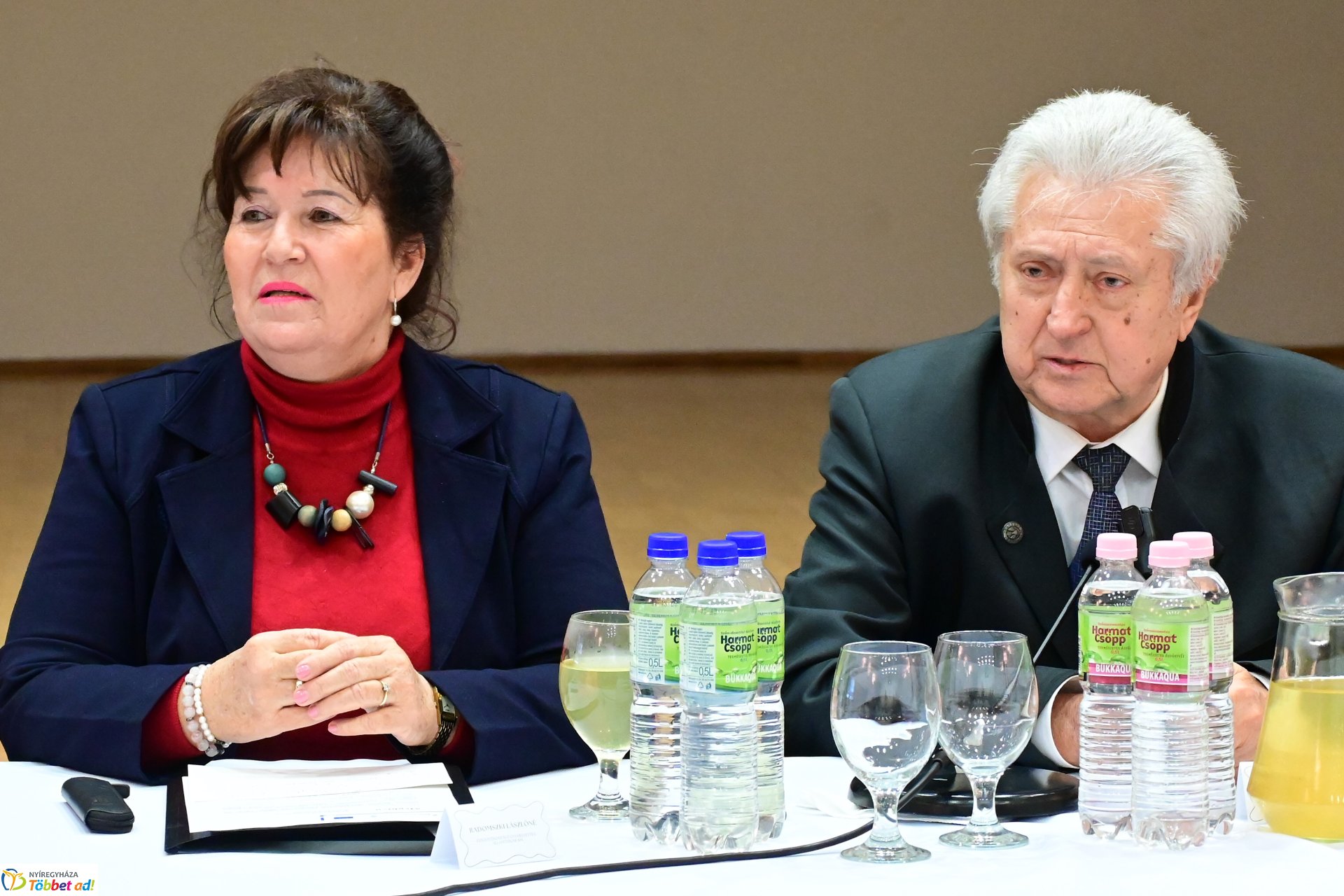 Regionális szakmai nap az Esély Centrumban