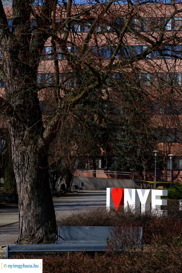 Rektori dicséretek átadása