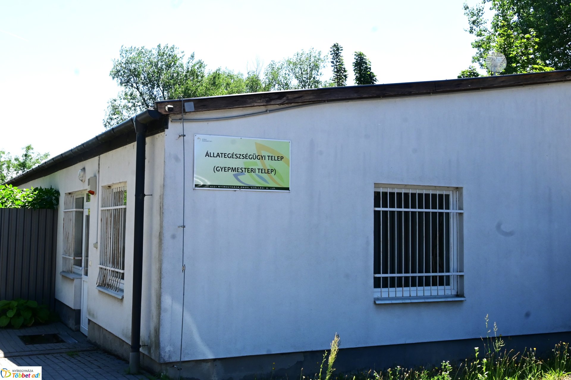 Rendkívüli örökbefogadási nap a NYÍRVV Nonprofit Kft. Állategészségügyi Telepén