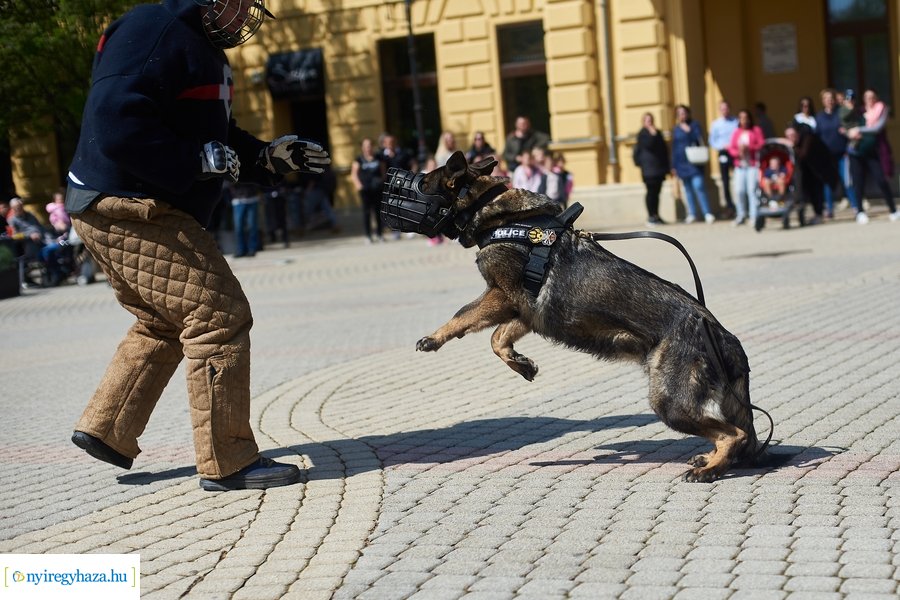 Rendvédelmi nap 2023