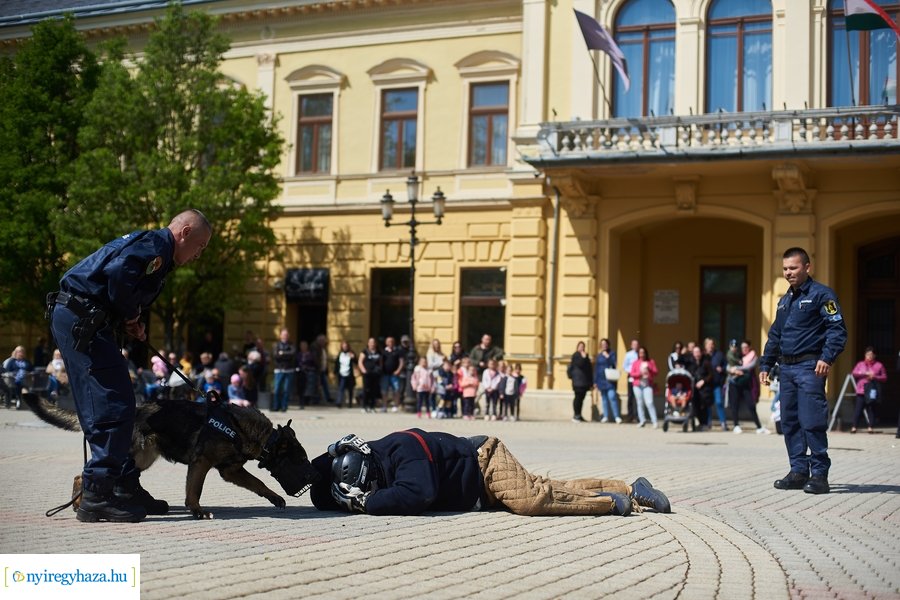 Rendvédelmi nap 2023