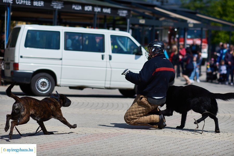 Rendvédelmi nap 2023