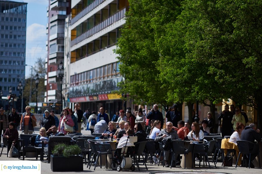 Rendvédelmi nap 2023