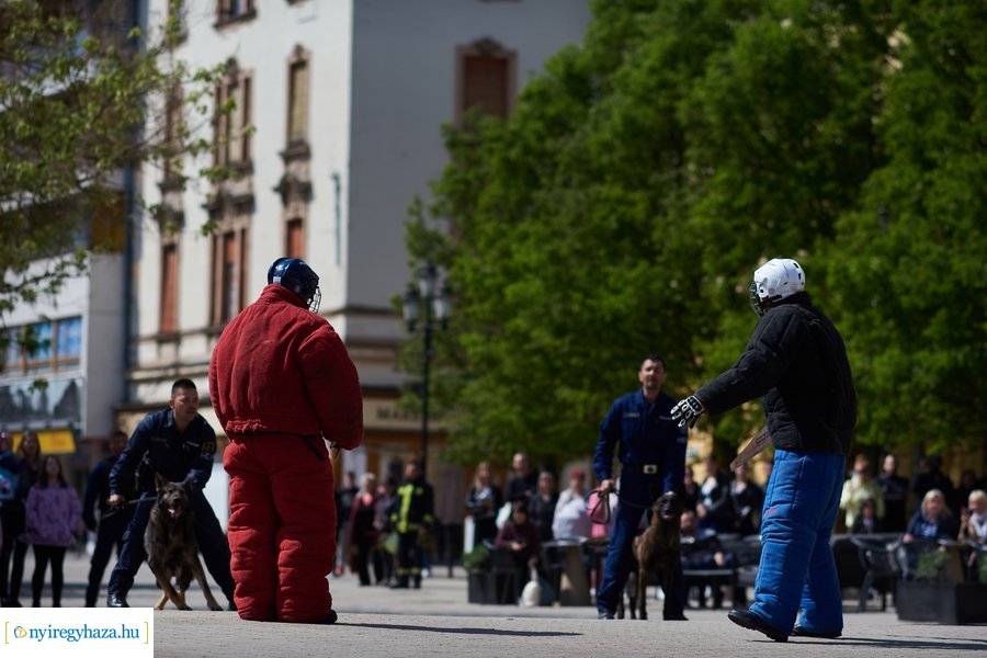 Rendvédelmi nap 2023