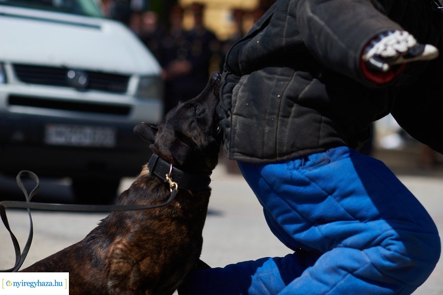 Rendvédelmi nap 2023