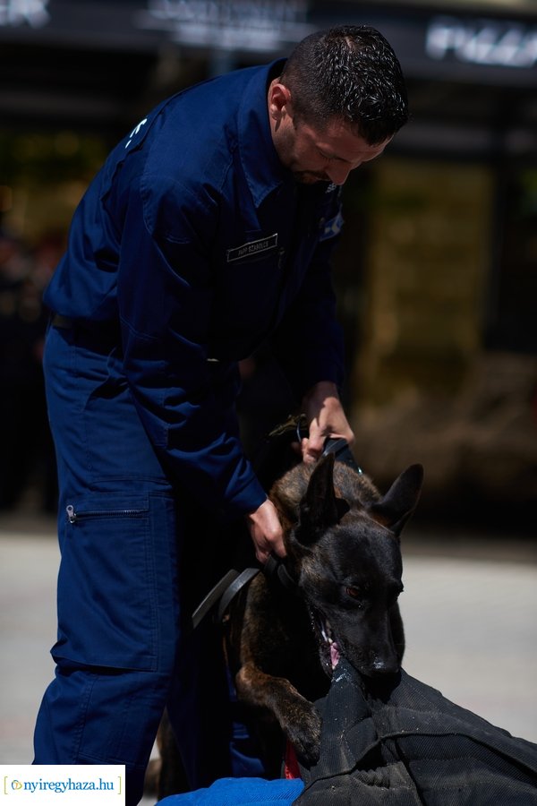 Rendvédelmi nap 2023