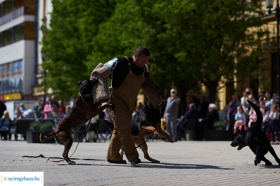 Rendvédelmi nap 2023