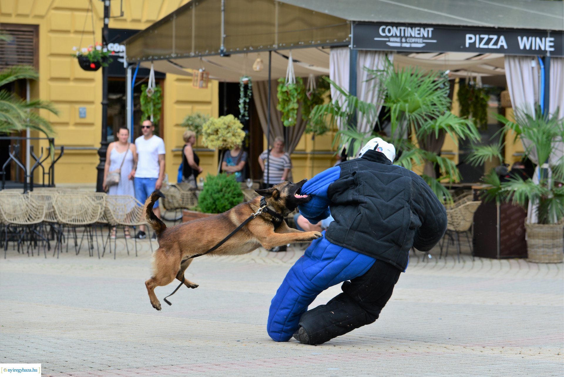 Rendvédelmi nap Nyíregyháza belvárosában