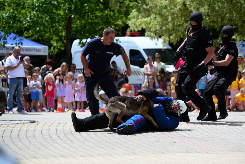 Rendvédelmi nap Nyíregyháza belvárosában
