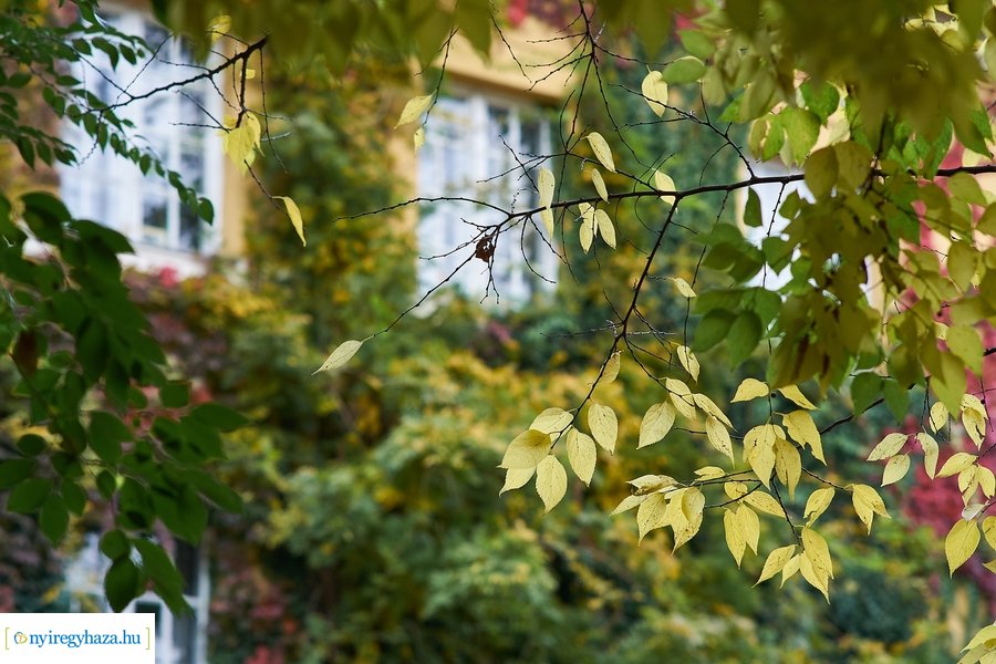 Rippl-Rónai kiállítás megnyitó