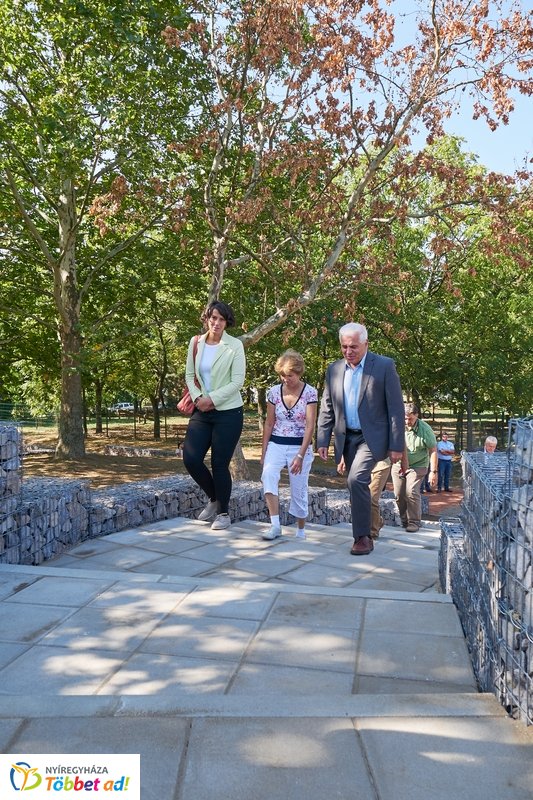 Robinson domb átadó