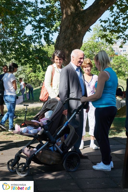 Robinson domb átadó