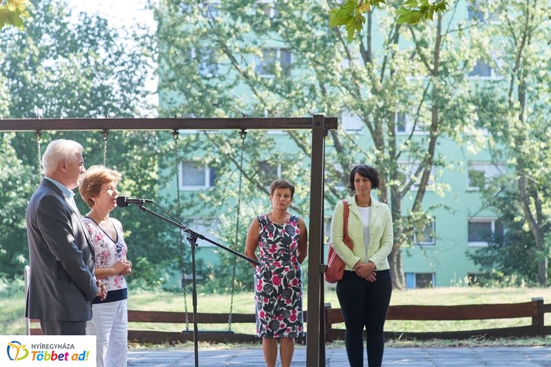 Robinson domb átadó