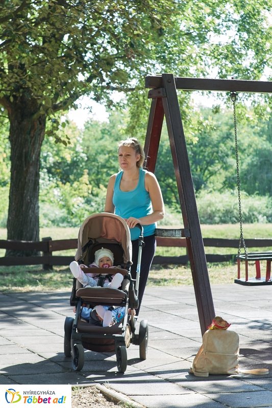 Robinson domb átadó