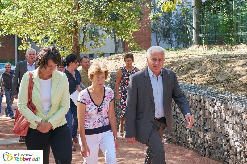 Robinson domb átadó