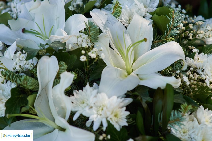 Roma holokausztra emlékeztek 2022