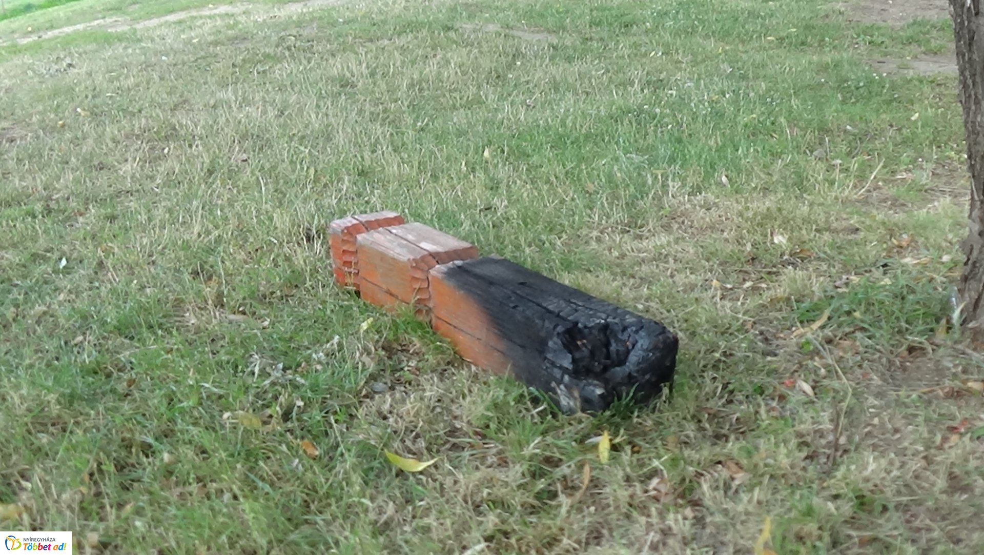 Rongálás a Bujtosi Városligetben