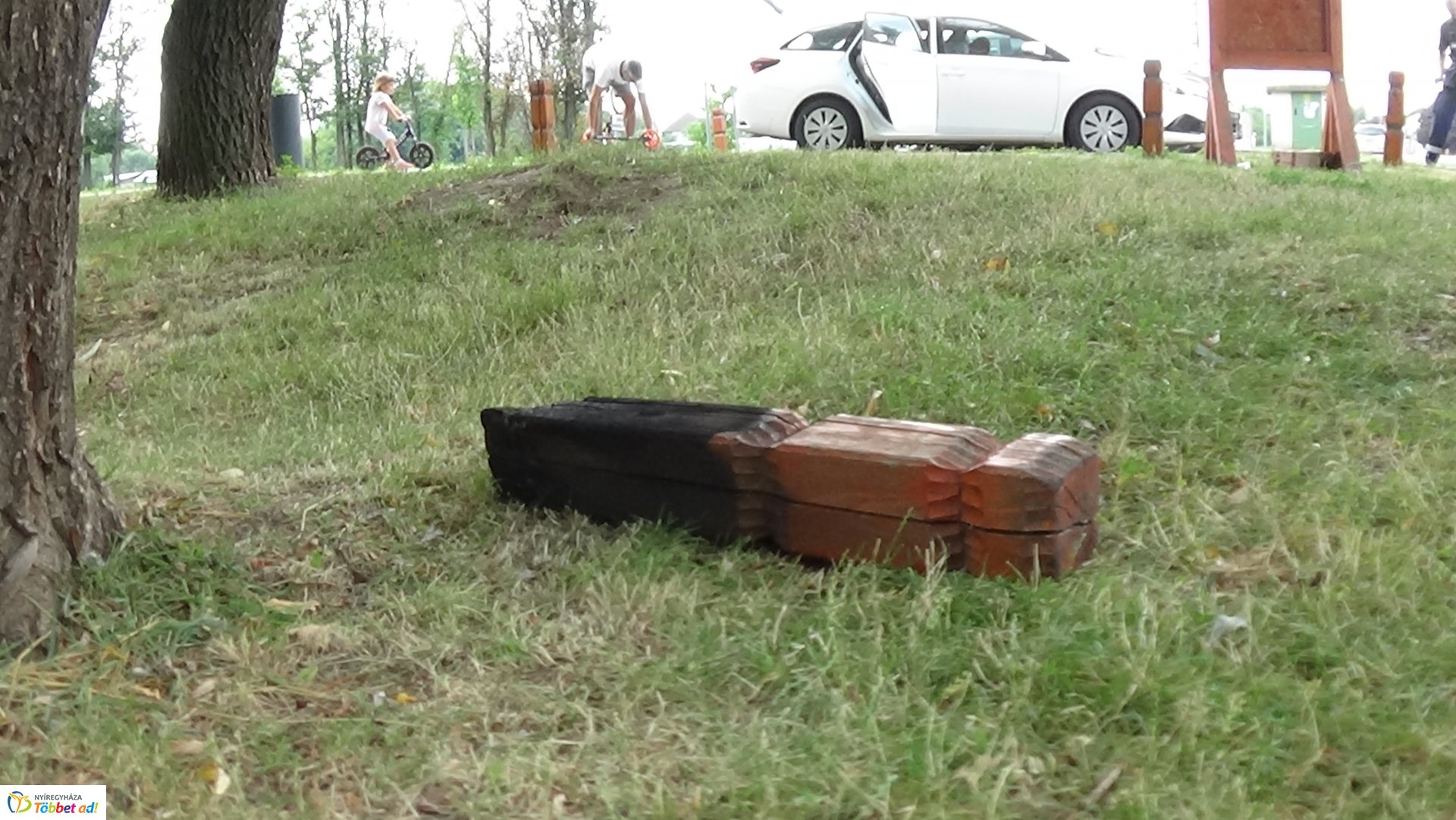 Rongálás a Bujtosi Városligetben