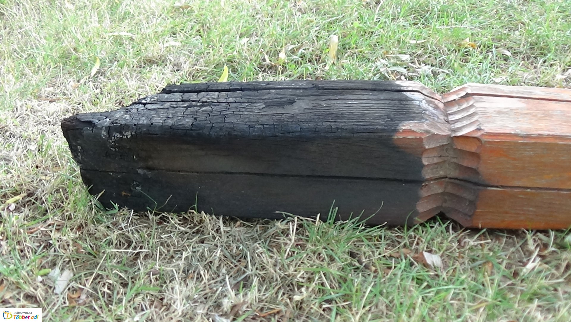 Rongálás a Bujtosi Városligetben