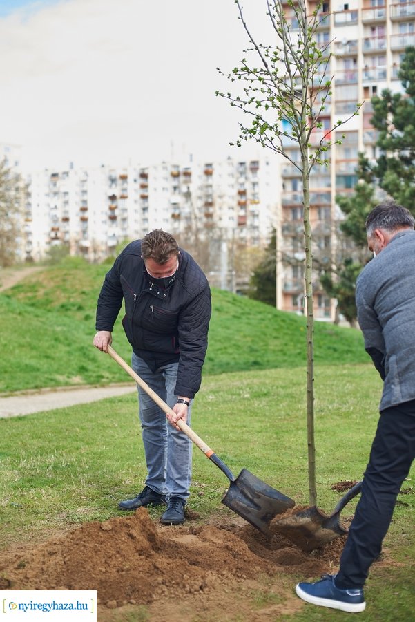 Rotary sétány a Jósavárosban