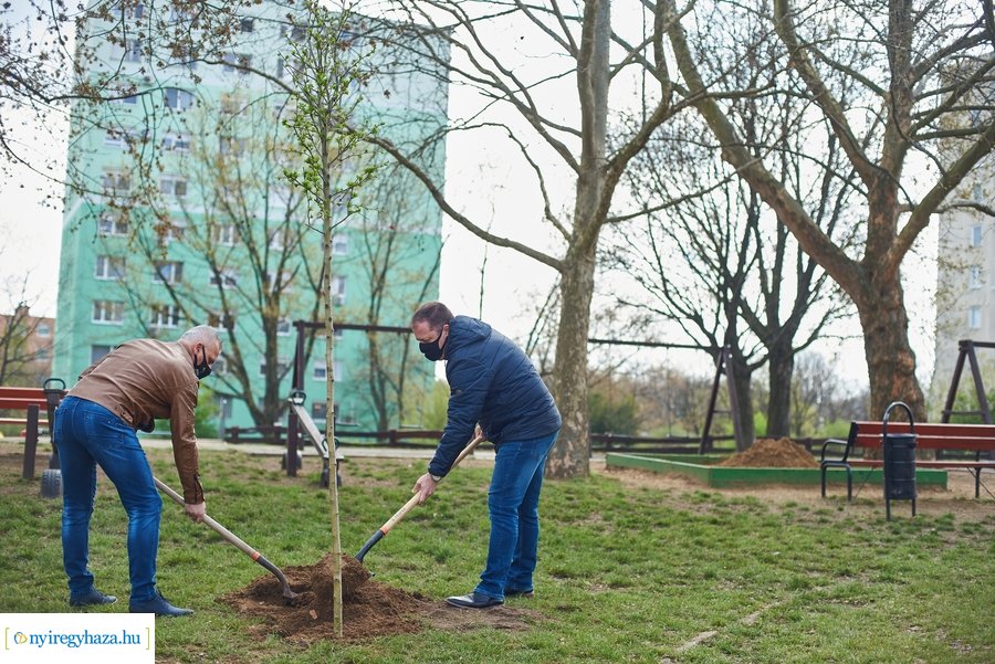 Rotary sétány a Jósavárosban