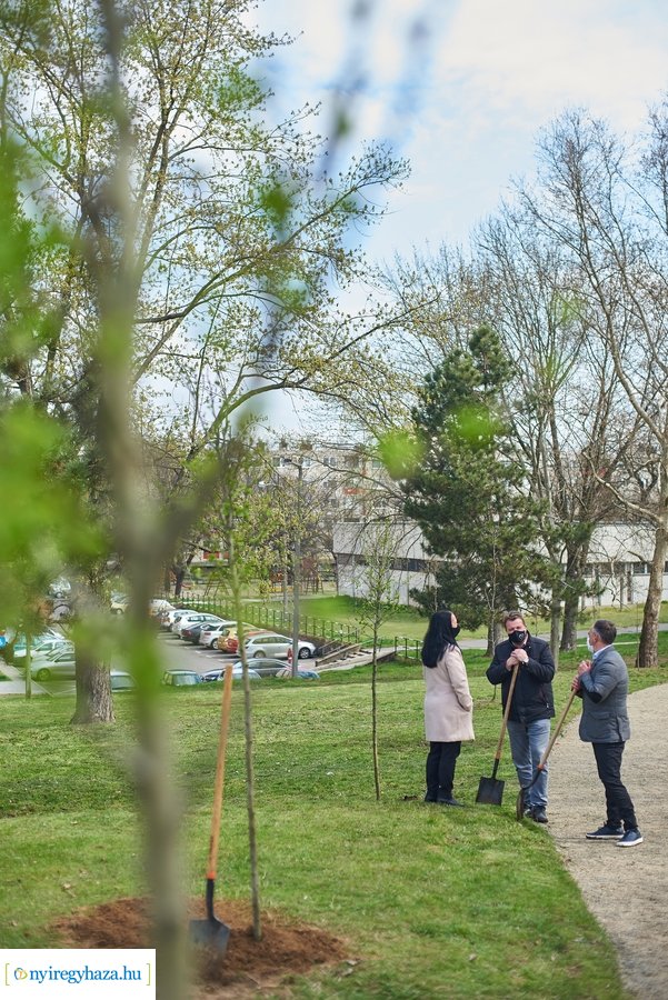 Rotary sétány a Jósavárosban
