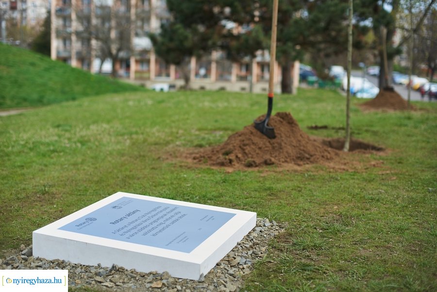 Rotary sétány a Jósavárosban