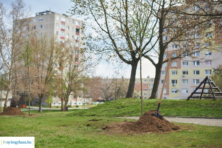 Rotary sétány a Jósavárosban