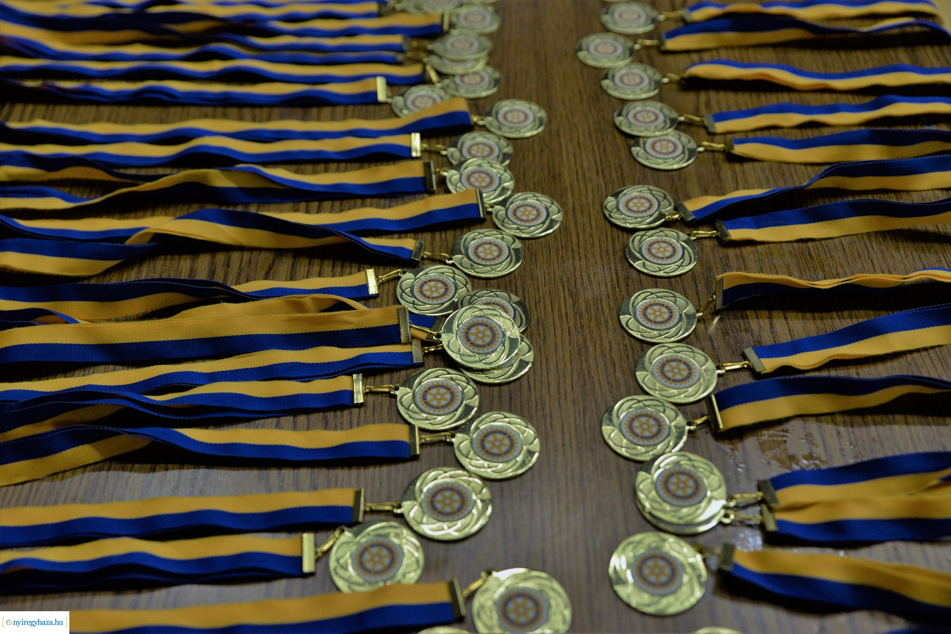 Rotary sportnap 2023