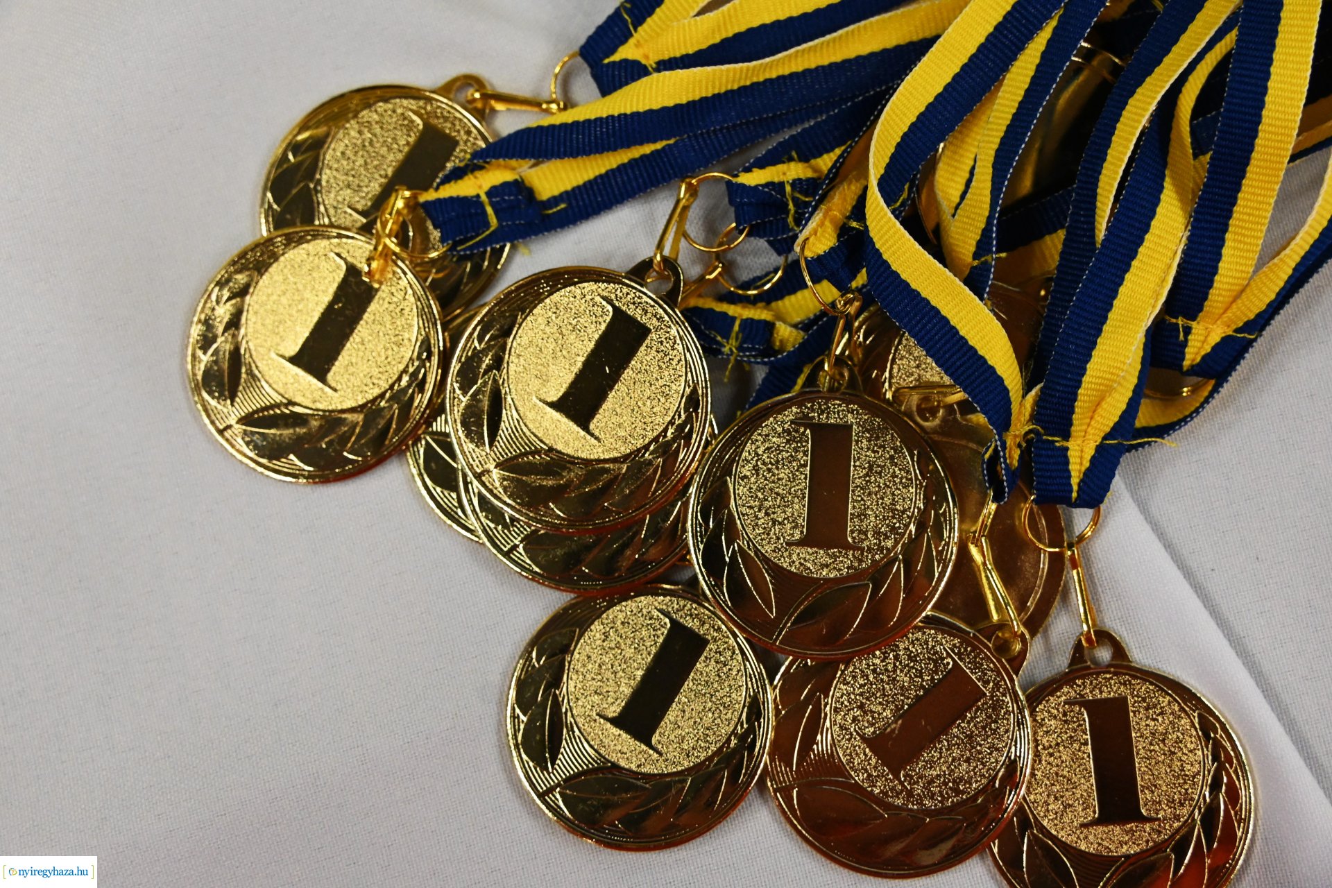 Rotary Sportnap 2024