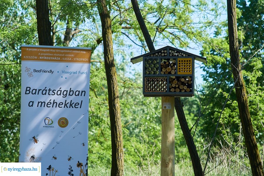 Rovarházak a Sóstói erdőben