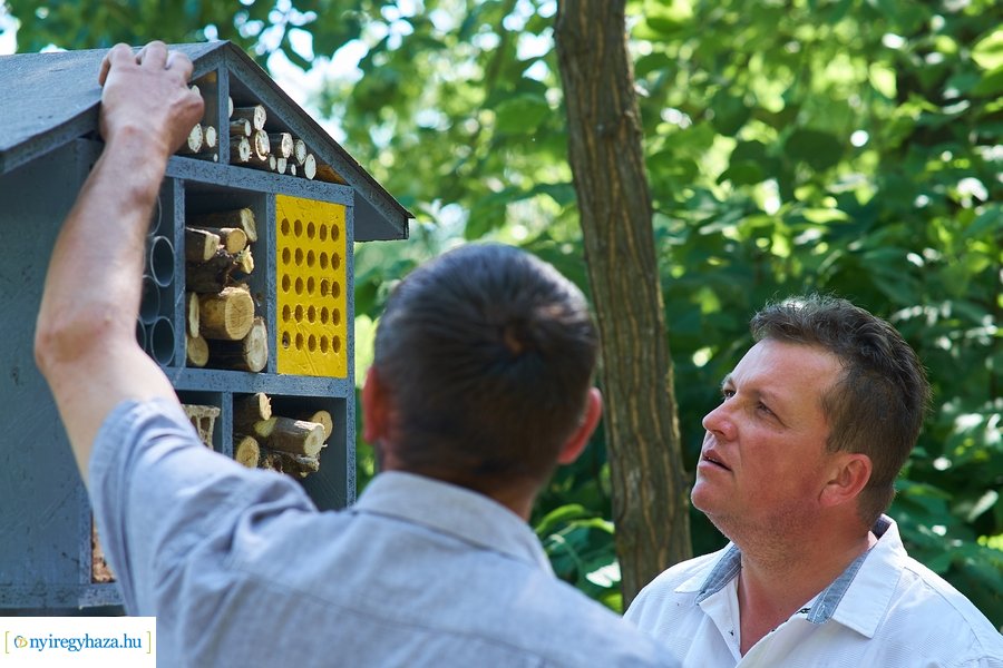 Rovarházak a Sóstói erdőben