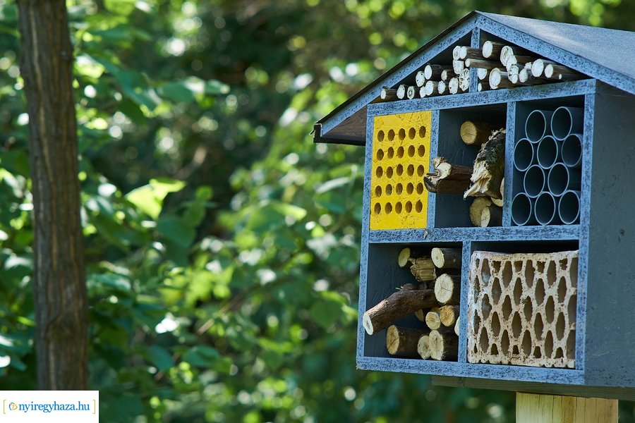 Rovarházak a Sóstói erdőben