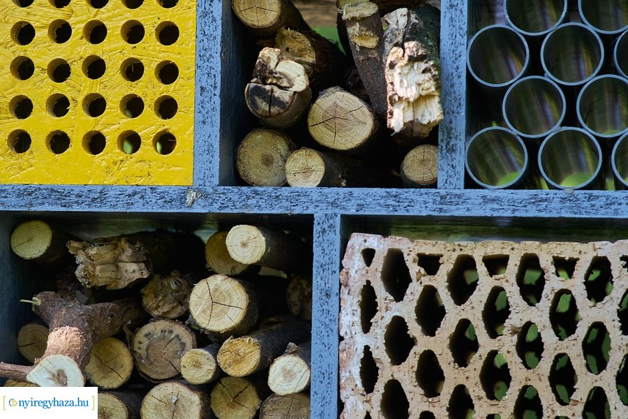 Rovarházak a Sóstói erdőben
