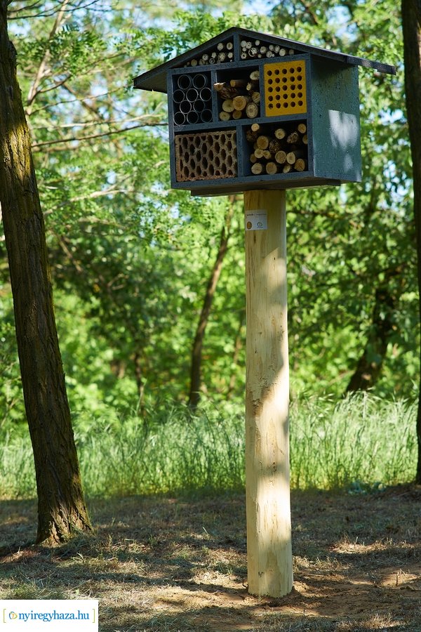 Rovarházak a Sóstói erdőben
