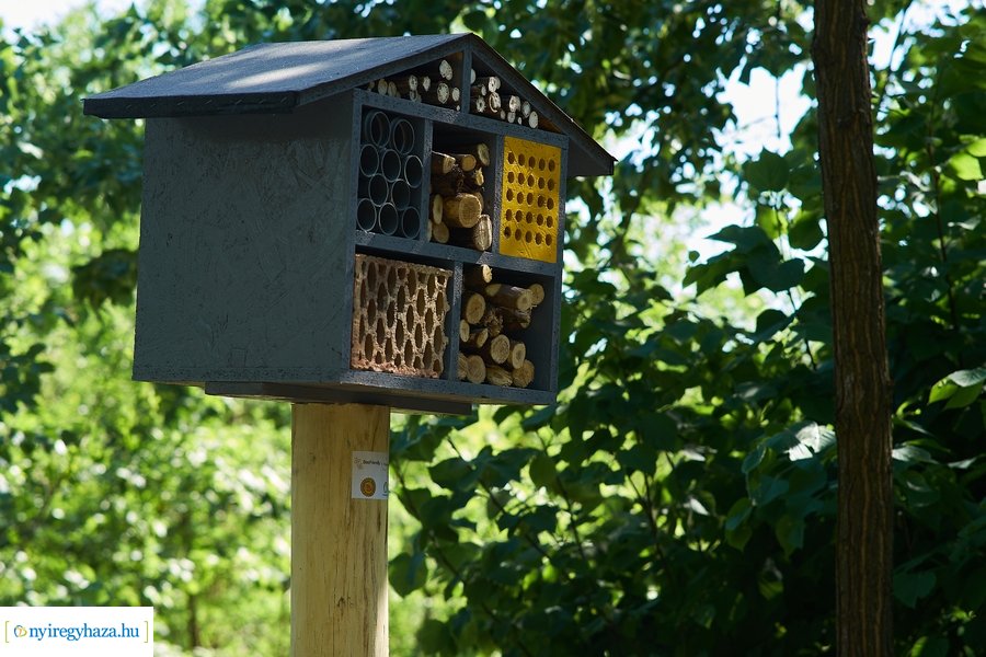 Rovarházak a Sóstói erdőben