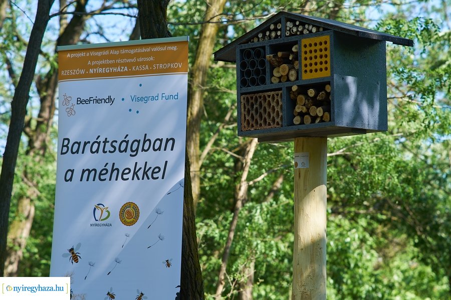 Rovarházak a Sóstói erdőben