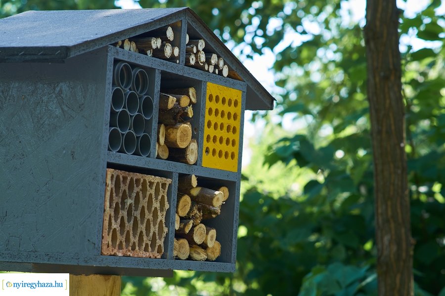 Rovarházak a Sóstói erdőben