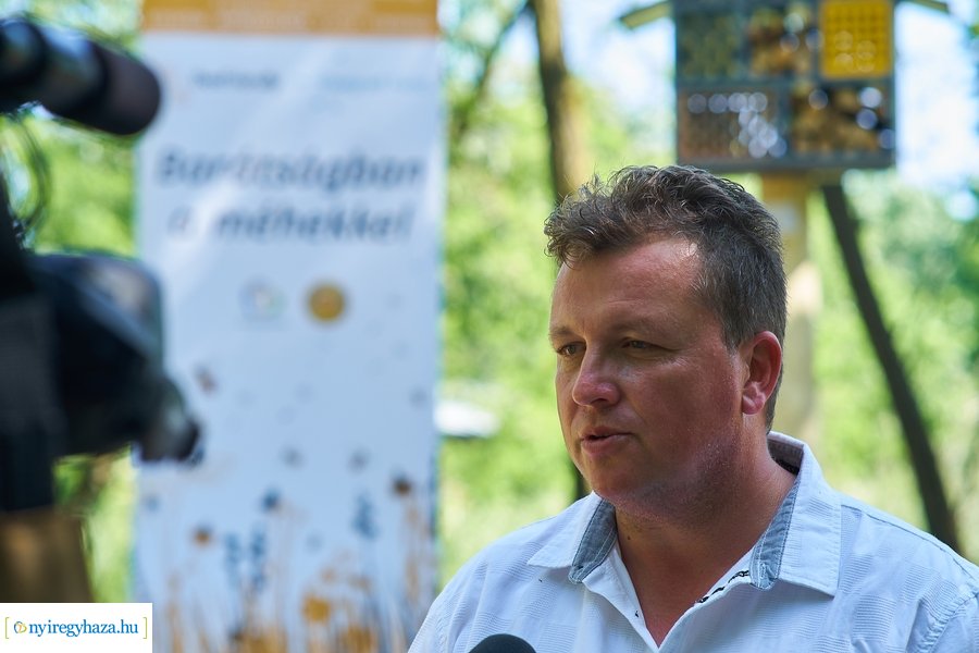 Rovarházak a Sóstói erdőben