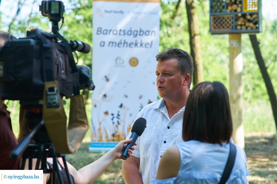 Rovarházak a Sóstói erdőben