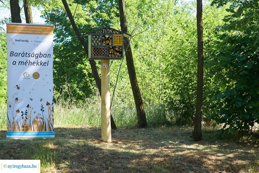 Rovarházak a Sóstói erdőben