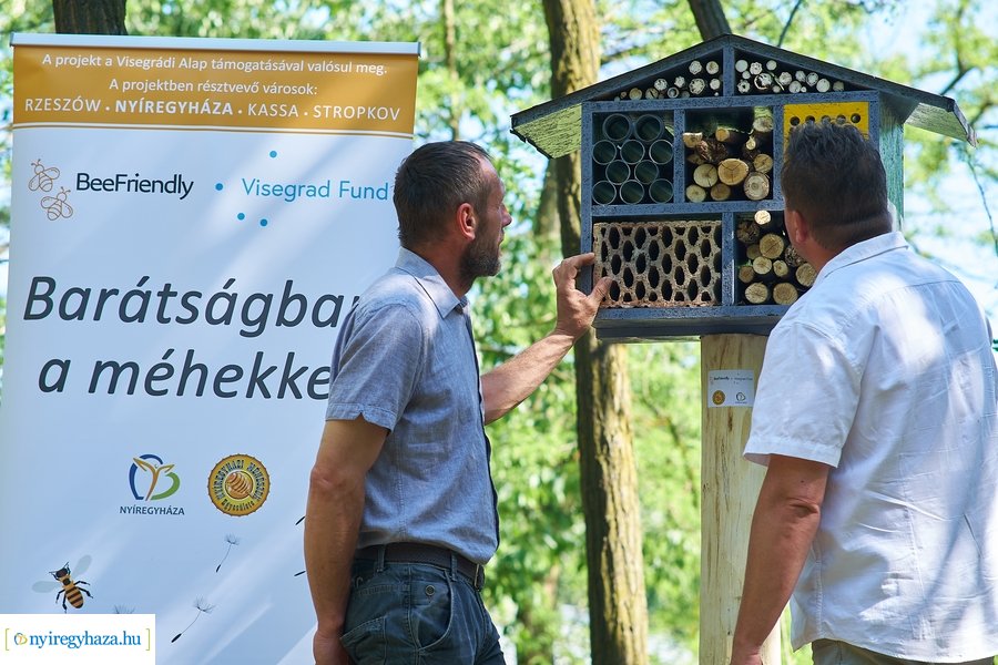 Rovarházak a Sóstói erdőben